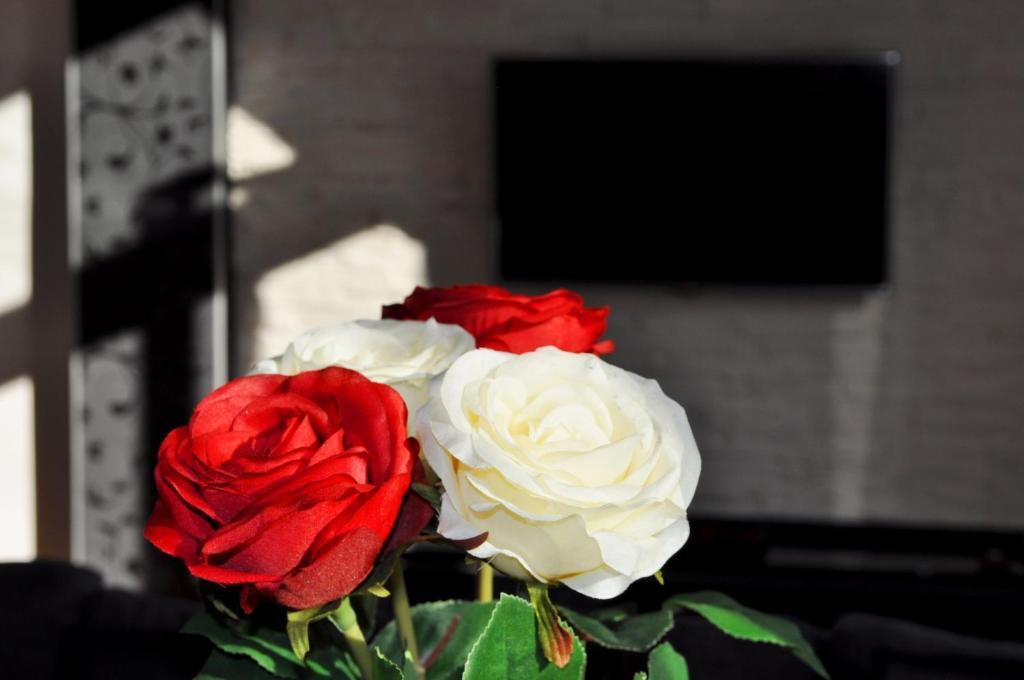 Welcome Budapest Apartments Екстер'єр фото